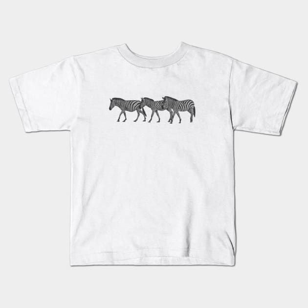 Zebra Line Up Kids T-Shirt by WickedIllusion